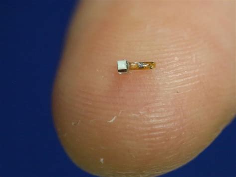 rfid brain chip snopes|Gates Foundation not pushing microchips with all procedures.